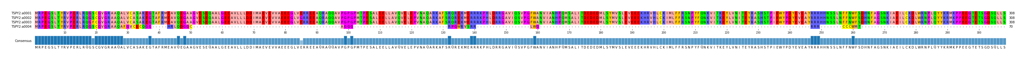 Multiple Alignments (by translate haplotype frequency)
