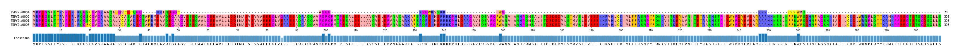 Multiple Alignments (by translate haplotype similarity)