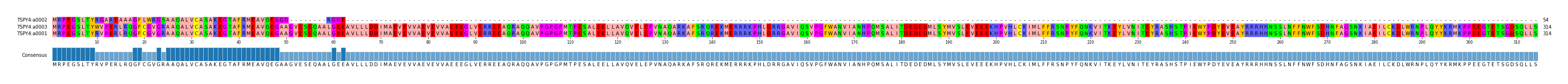 Multiple Alignments (by translate haplotype similarity)