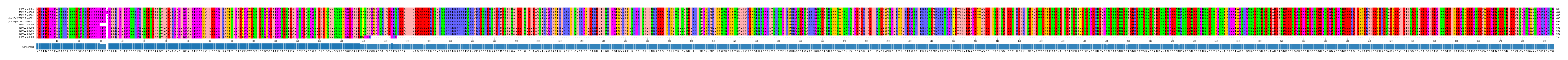 Multiple Alignments (by translate haplotype similarity)