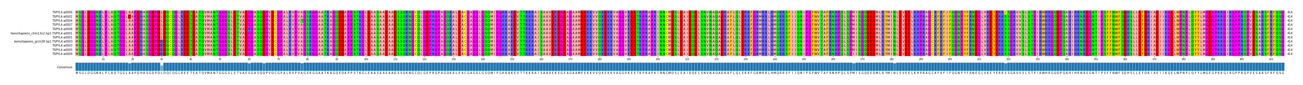Multiple Alignments (by translate haplotype similarity)