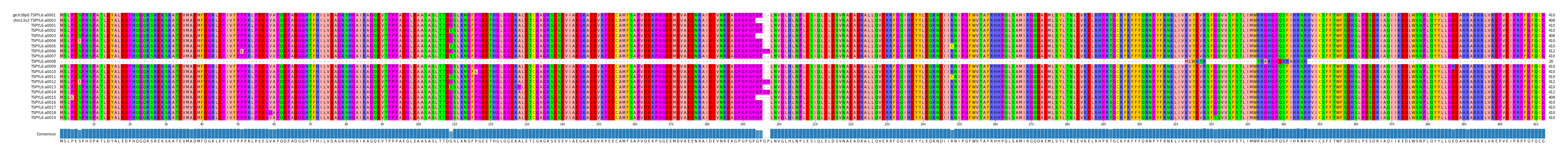 Multiple Alignments (by translate haplotype frequency)