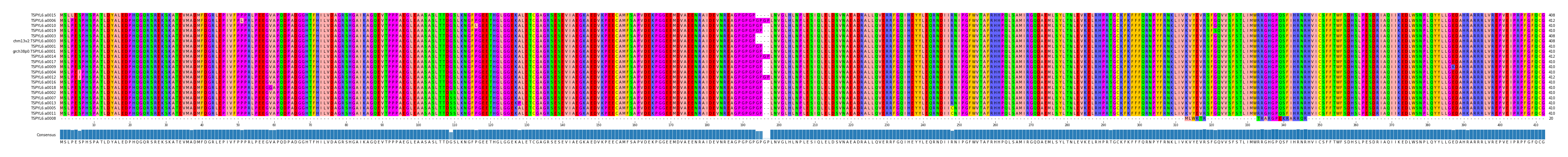 Multiple Alignments (by translate haplotype similarity)