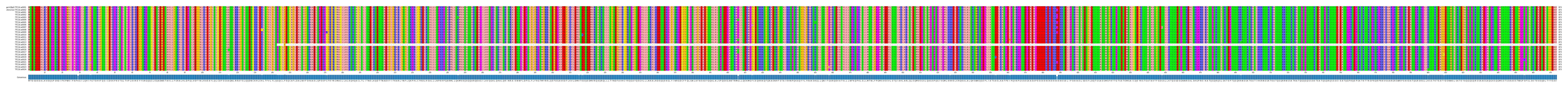 Multiple Alignments (by translate haplotype frequency)