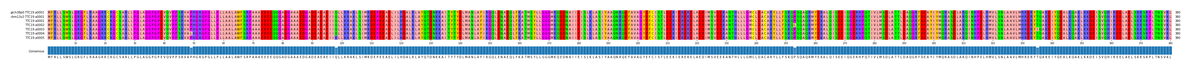 Multiple Alignments (by translate haplotype frequency)