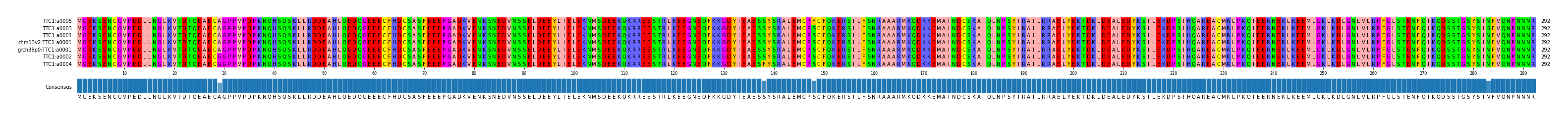 Multiple Alignments (by translate haplotype similarity)
