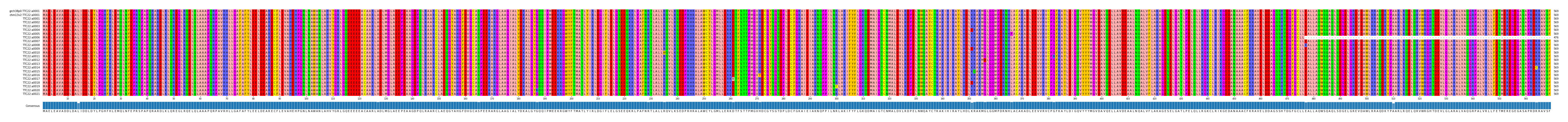 Multiple Alignments (by translate haplotype frequency)