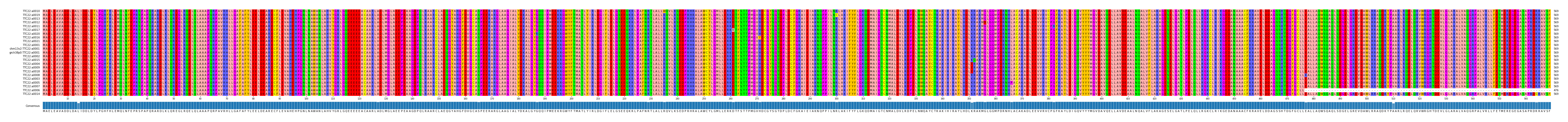 Multiple Alignments (by translate haplotype similarity)