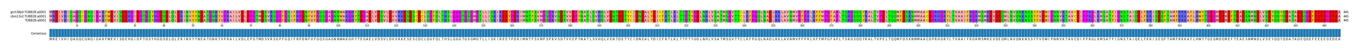 Multiple Alignments (by translate haplotype similarity)