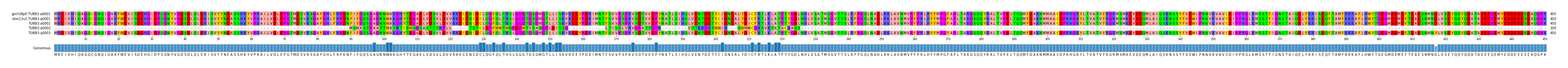 Multiple Alignments (by translate haplotype frequency)