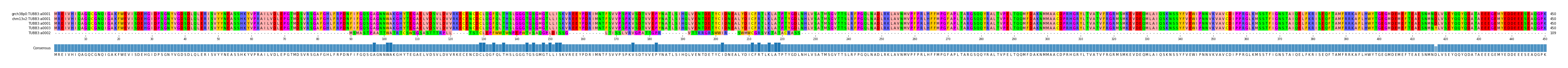 Multiple Alignments (by translate haplotype similarity)