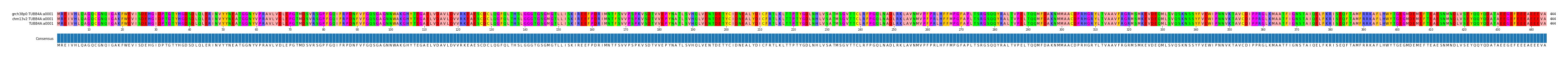Multiple Alignments (by translate haplotype similarity)