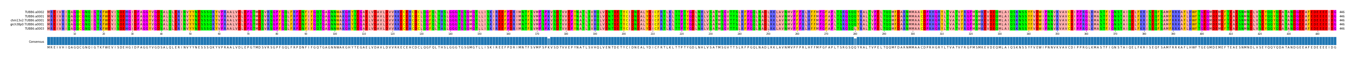 Multiple Alignments (by translate haplotype similarity)