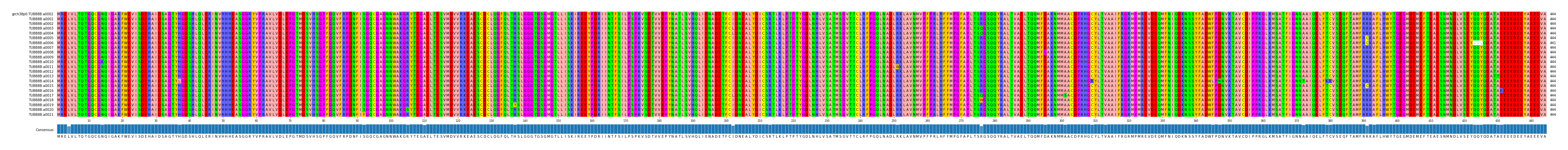 Multiple Alignments (by translate haplotype frequency)
