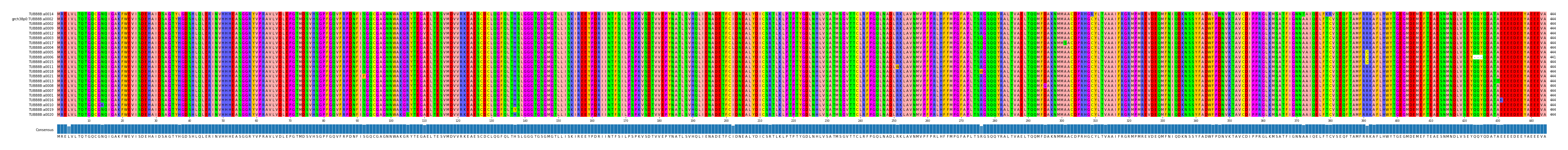 Multiple Alignments (by translate haplotype similarity)