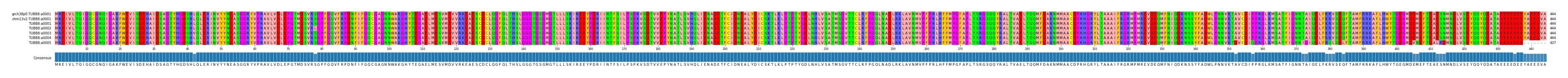Multiple Alignments (by translate haplotype frequency)