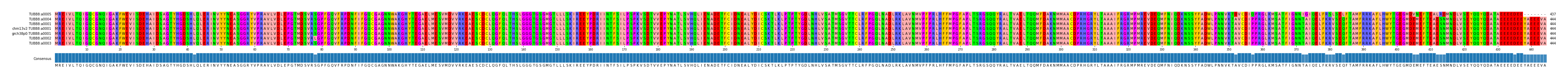 Multiple Alignments (by translate haplotype similarity)