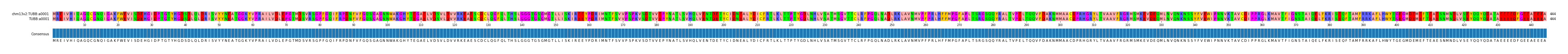 Multiple Alignments (by translate haplotype similarity)