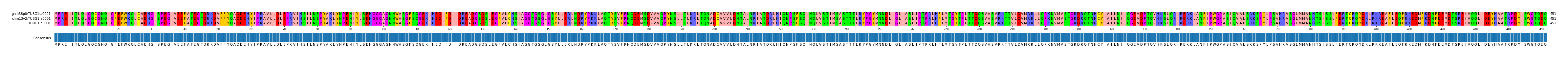 Multiple Alignments (by translate haplotype similarity)