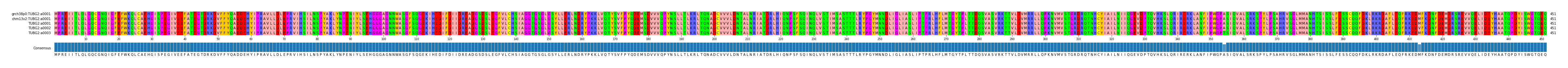 Multiple Alignments (by translate haplotype frequency)