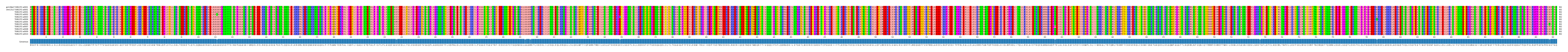 Multiple Alignments (by translate haplotype frequency)