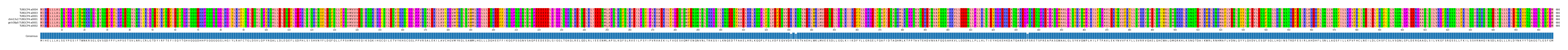 Multiple Alignments (by translate haplotype similarity)