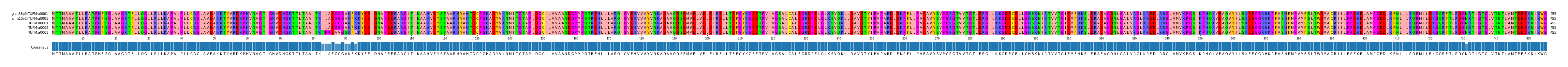 Multiple Alignments (by translate haplotype frequency)