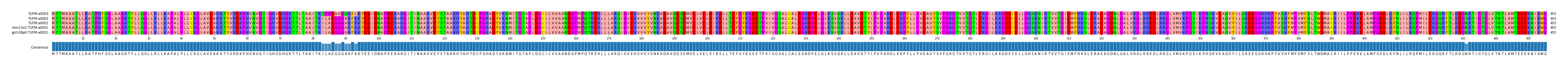 Multiple Alignments (by translate haplotype similarity)