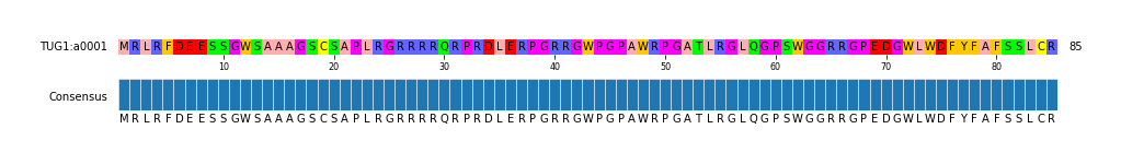 Multiple Alignments (by translate haplotype similarity)