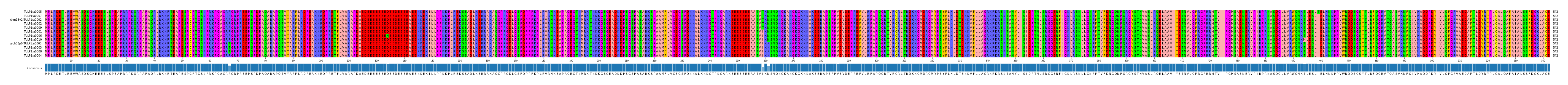 Multiple Alignments (by translate haplotype similarity)