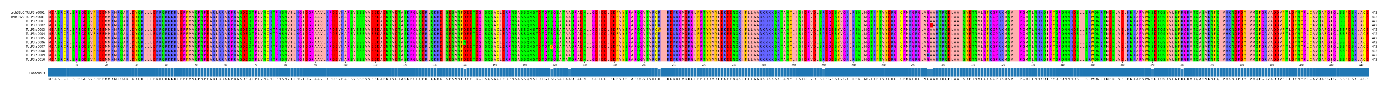 Multiple Alignments (by translate haplotype frequency)