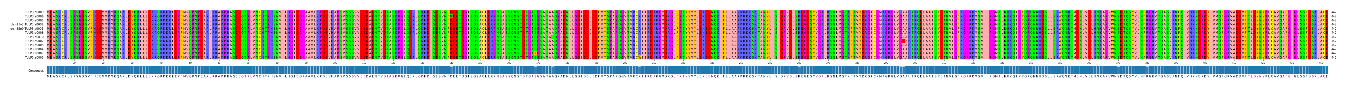 Multiple Alignments (by translate haplotype similarity)