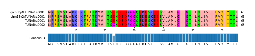 Multiple Alignments (by translate haplotype frequency)