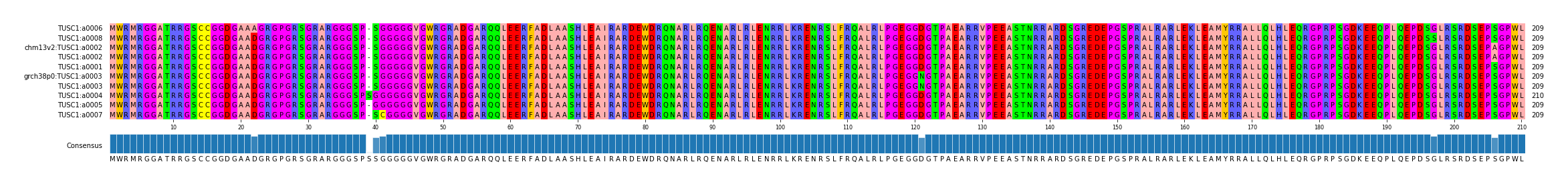 Multiple Alignments (by translate haplotype similarity)