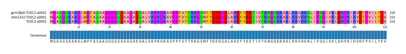 Multiple Alignments (by translate haplotype similarity)