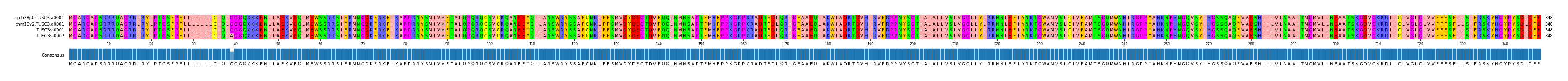 Multiple Alignments (by translate haplotype similarity)