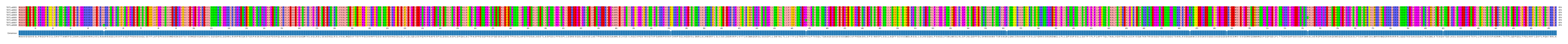 Multiple Alignments (by translate haplotype frequency)