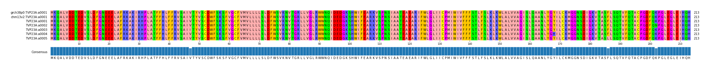Multiple Alignments (by translate haplotype frequency)