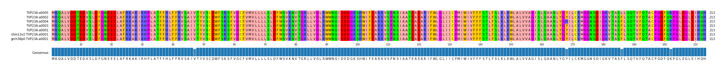 Multiple Alignments (by translate haplotype similarity)