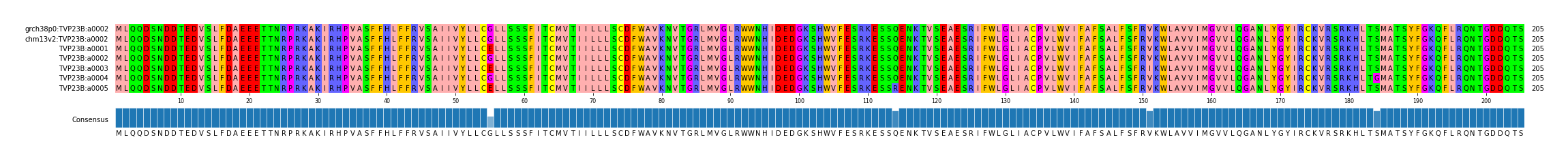 Multiple Alignments (by translate haplotype frequency)