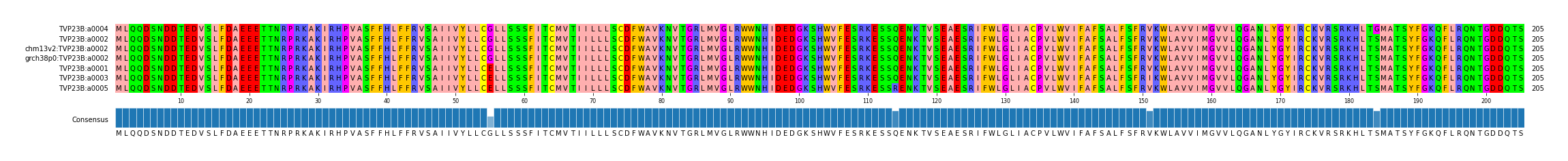 Multiple Alignments (by translate haplotype similarity)