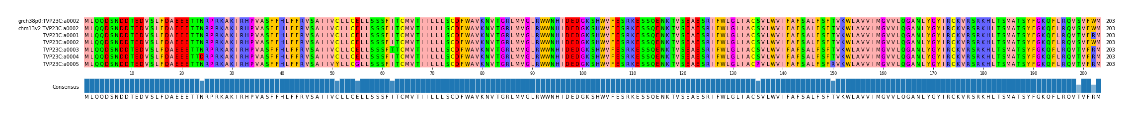 Multiple Alignments (by translate haplotype frequency)