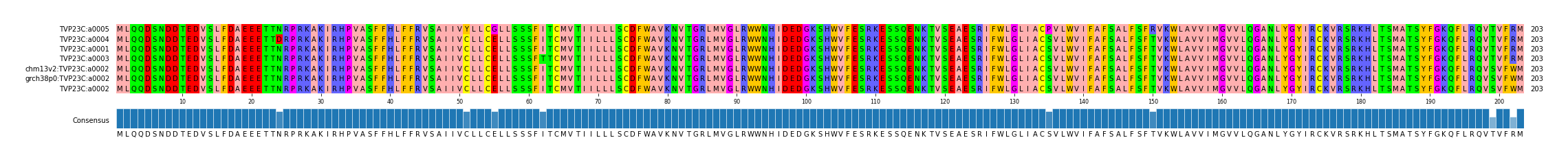 Multiple Alignments (by translate haplotype similarity)
