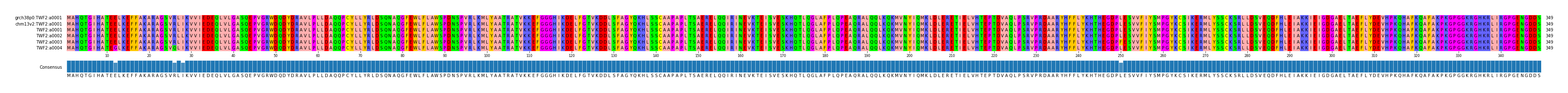 Multiple Alignments (by translate haplotype frequency)