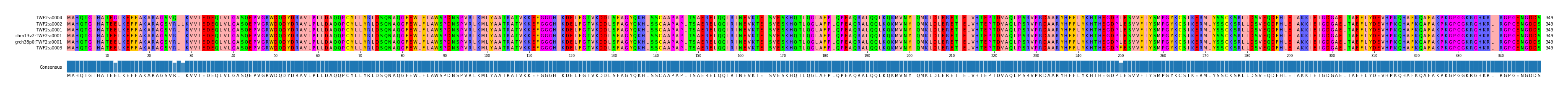 Multiple Alignments (by translate haplotype similarity)