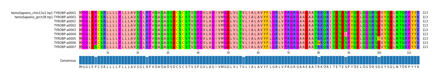 Multiple Alignments (by translate haplotype frequency)