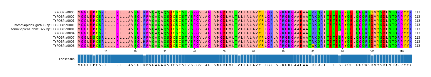Multiple Alignments (by translate haplotype similarity)