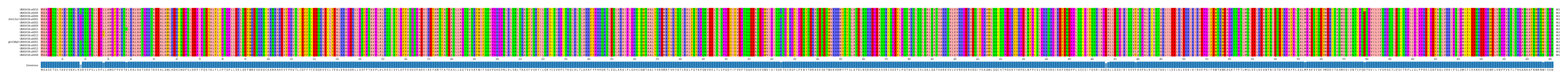 Multiple Alignments (by translate haplotype similarity)