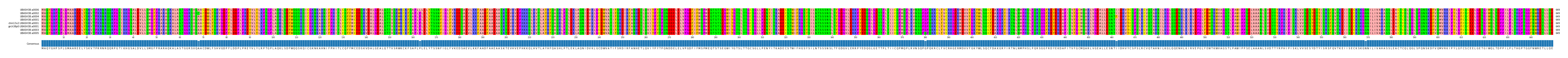 Multiple Alignments (by translate haplotype similarity)