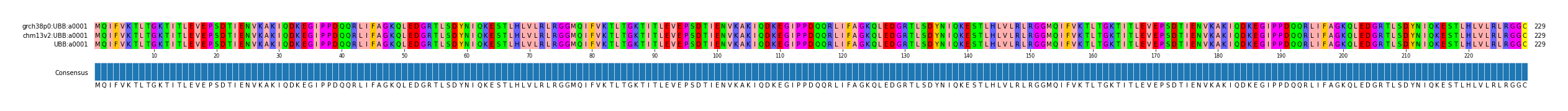 Multiple Alignments (by translate haplotype frequency)